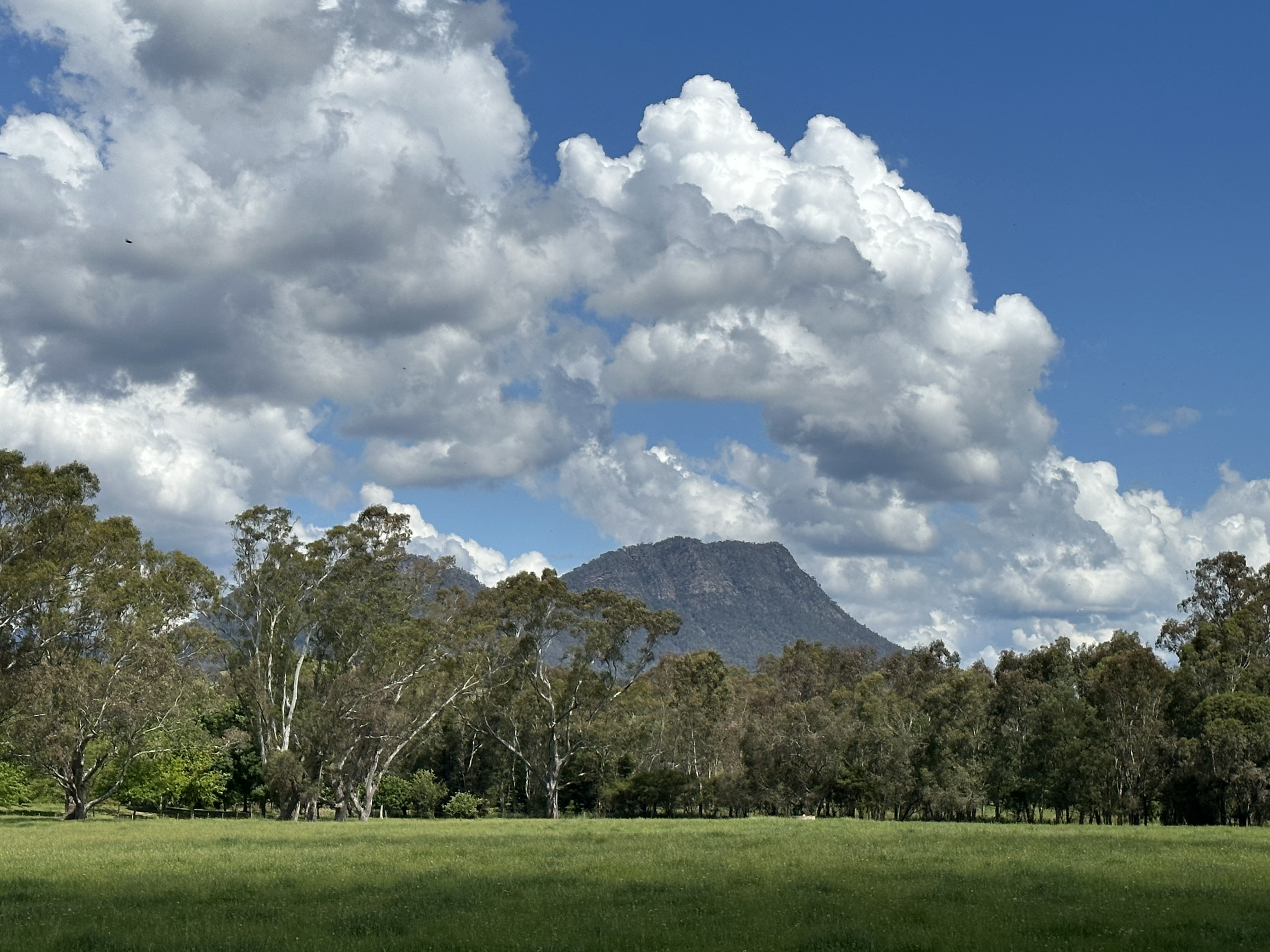 175 TAGGERTY-THORNTON RD, TAGGERTY VIC 3714, 0房, 0浴, Lifestyle Property