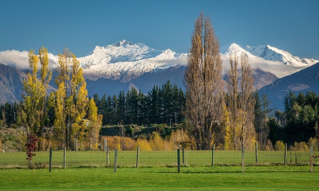 Ballantyne Road, Wanaka, Queenstown Lakes, 0房, 1浴