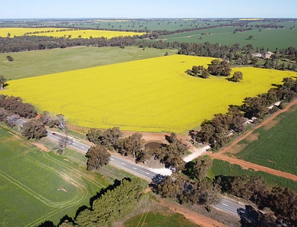 Lot 155 DP750852 Burley Griffin Way, Ariah Park, Riverina, 0 rūma, 0 rūma horoi, Lifestyle Property