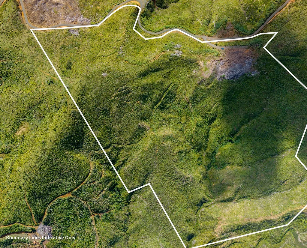 Peria Commercial Forestry Investment
