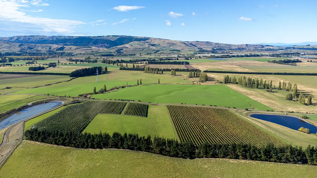 Waipara  Productive vines - grape supply contract available