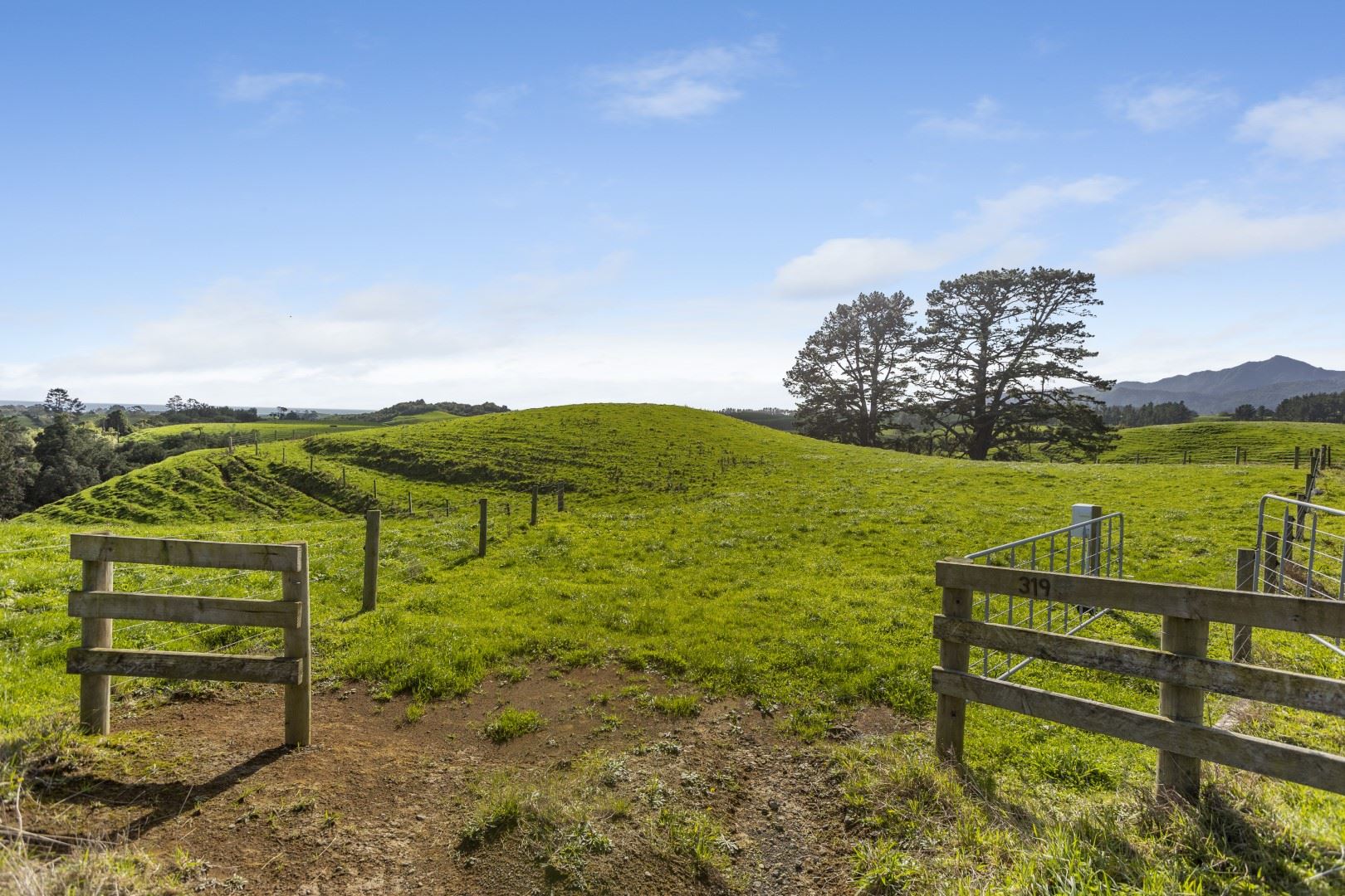 319 Dover Road, Okato, New Plymouth, 0 habitaciones, 0 baños, Lifestyle Section