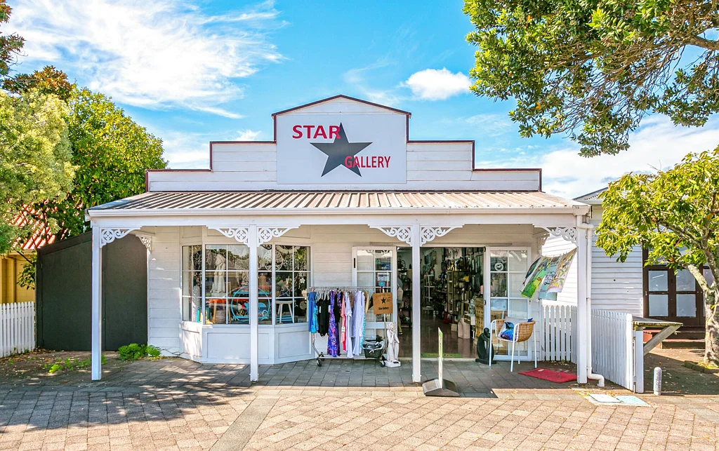 Coromandel 'STAR GALLERY'  -  LAND & BUILDING
