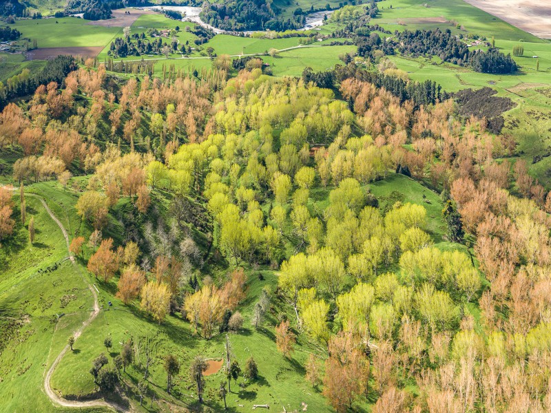 1058 Kawhatau Valley Road, Mangaweka, Rangitikei, 4 chambres, 0 salles de bain