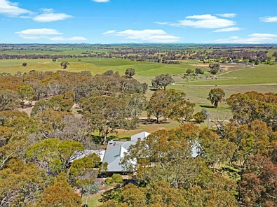 138 Black Range Road, Young, NSW 2594, 0 Kuwarto, 0 Banyo, Lifestyle Property