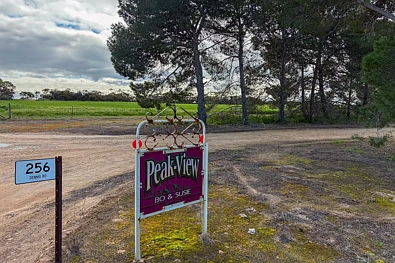 256 Dennis Road, Lock, SA 5633, 3房, 1浴, Lifestyle Property