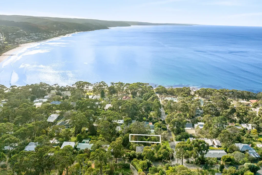 Lorne AN OUTSTANDING BLANK CANVAS