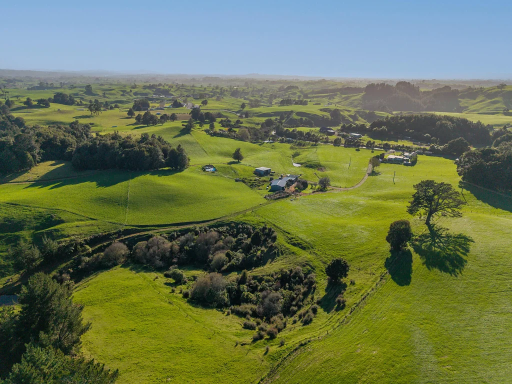 Putaruru Versatile support block with dual dwellings