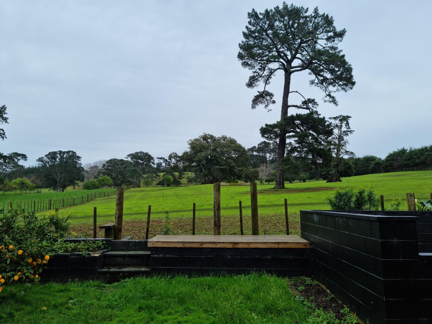 72 Campbell Road, One Tree Hill, Auckland, 3 rūma, 0 rūma horoi