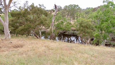 596 Mostyn Lane, Balmoral, VIC 3407, 0 slaapkamers, 0 badkamers, Lifestyle Property