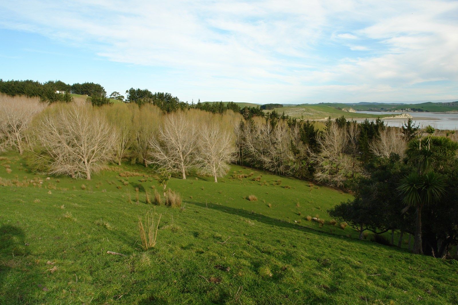 Otara Road, Kaiwaka, Kaipara, 0房, 0浴