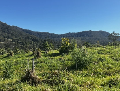 842 Green Pigeon Road, Kyogle, North Coast, 4 Kuwarto, 0 Banyo, Lifestyle Property