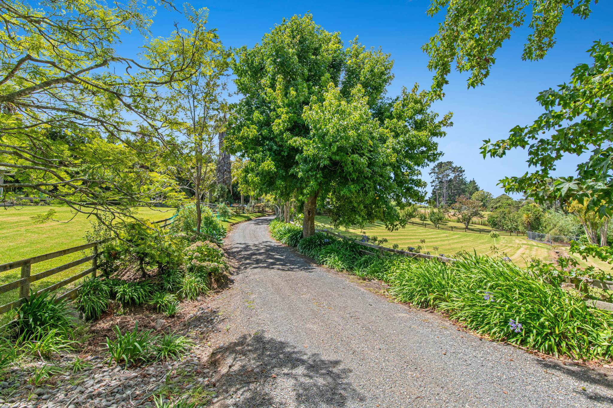 786 South Head Road, South Head, photo 1
