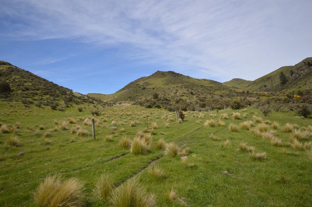 69p Inches Road, Hawarden, Hurunui, 0房, 0浴