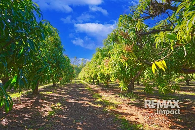 446 Chewko Road, Mareeba, QLD 4880, 5 phòng ngủ, 2 phòng tắm, Lifestyle Property
