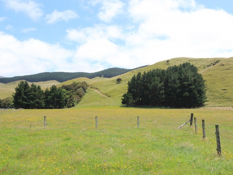 414 Putara Road, Eketahuna, Tararua, 0房, 0浴