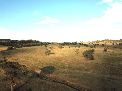 829 EULIMORE ROAD, Eugowra, NSW 2806, 0 Bedrooms, 1 Bathrooms, Lifestyle Property