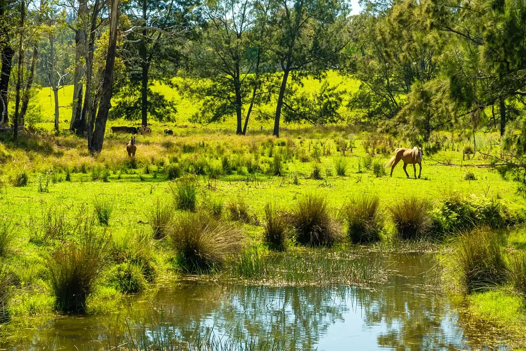 18 Waincourt Road, Eurobodalla, NSW 2545