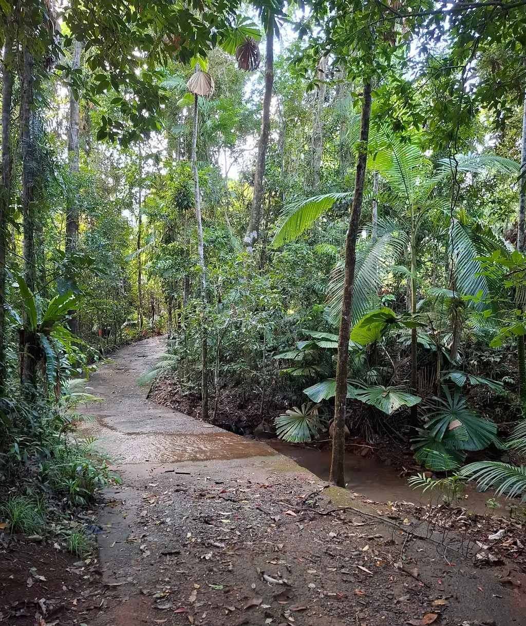 地址保密, Cape Tribulation, QLD 4873