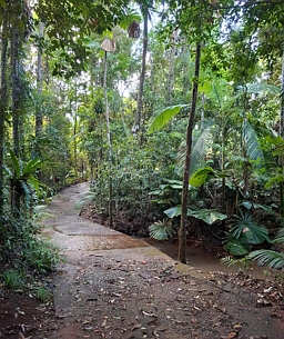 地址保密, Cape Tribulation