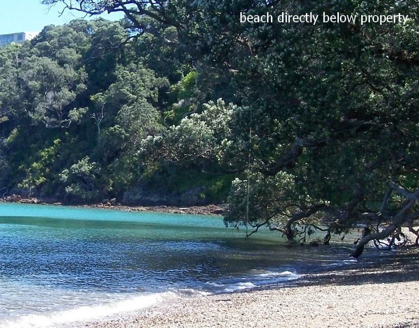 Hauraki Gulf Islands