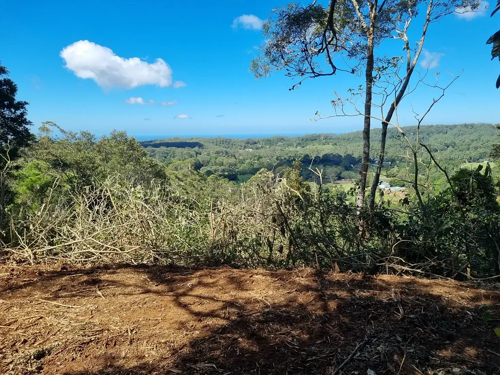 107 Lyrebird Ridge Road, Springbrook, QLD 4213