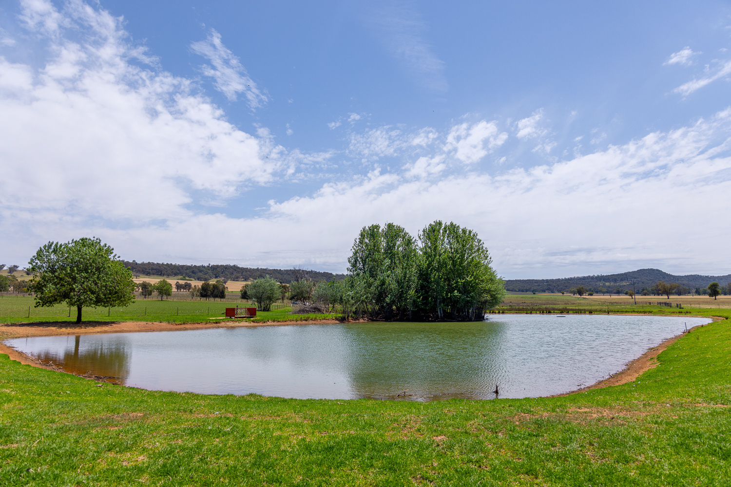 48 BEROWRA RD, DUNEDOO NSW 2844, 0 Bedrooms, 0 Bathrooms, Lifestyle Property