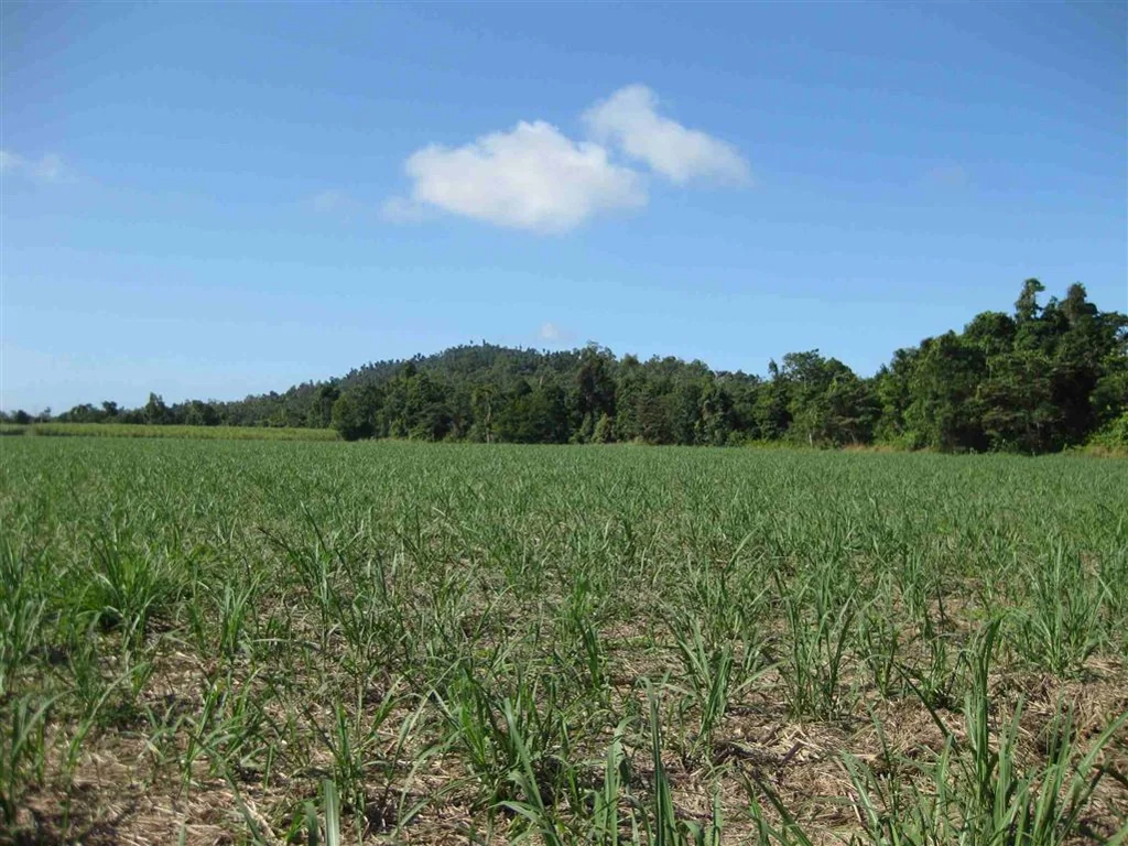 Granadilla Cane farm with small creek