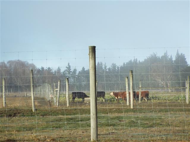 18 Pluto Road, Lumsden, Southland, 5 Schlafzimmer, 0 Badezimmer