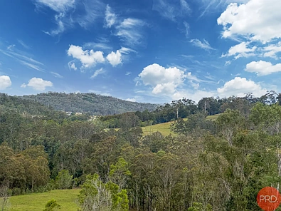 25a Forest Road, Duns Creek, NSW 2321, 0 slaapkamers, 0 badkamers, Section