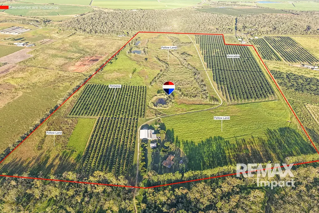 Arriga  Premium Paddy's Green Producer with Multiple Income Streams!