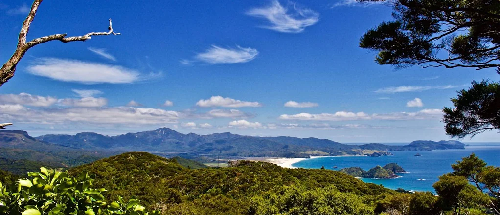 Great Barrier Island Coastal Views and Pristine Native Bush