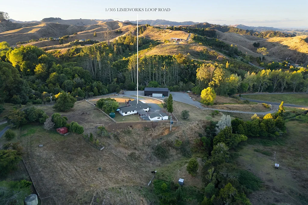 Te Pahu What More Could You Want?