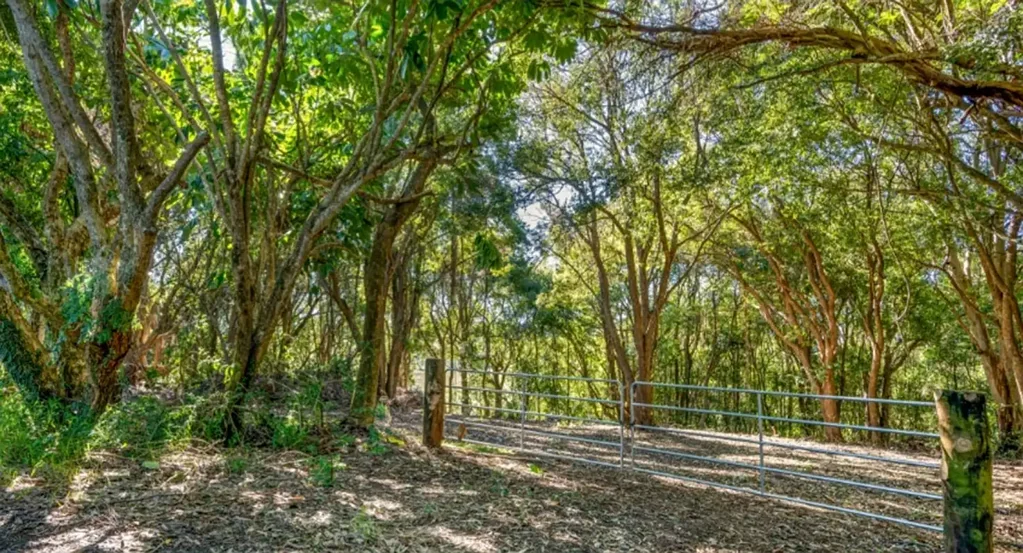 Teven Lush Acreage Offering Privacy & Creek Access