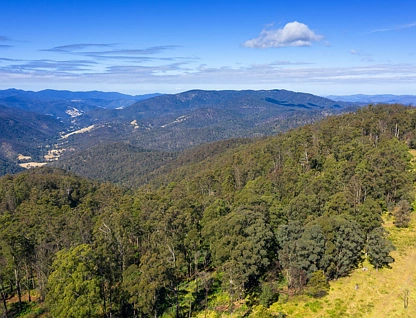 Lot 78 McPhersons Country Estate, Enfield Range Road, Cells River, Hunter, 0 Kuwarto, 0 Banyo, Lifestyle Property