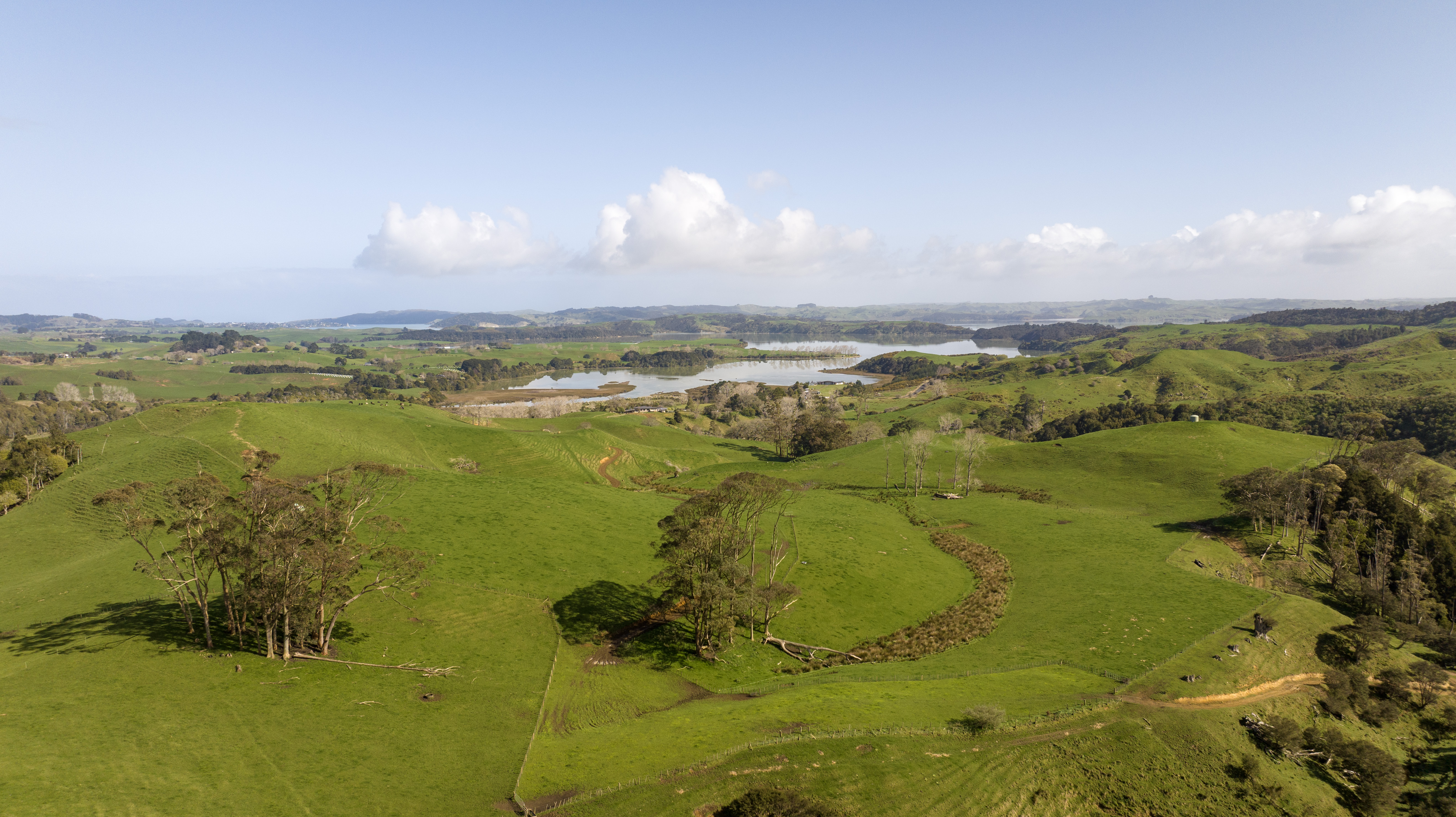 274 Ohautira Road, Raglan, Waikato, 0 कमरे, 0 बाथरूम, Grazing