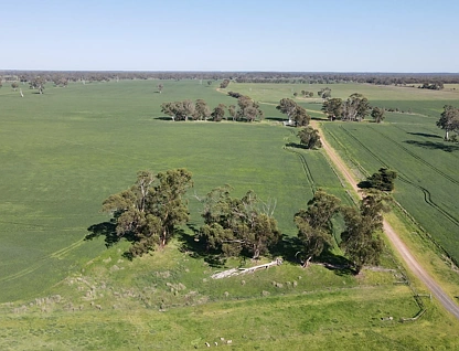 173 Mcclures Rd, Connewirricoo, Horsham, 4部屋, 2バスルーム, Lifestyle Property