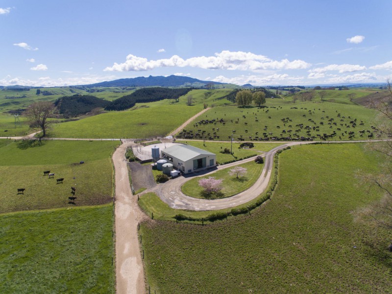 157 Rotongata Road, Wharepapa South, Waipa, 5 Bedrooms, 0 Bathrooms