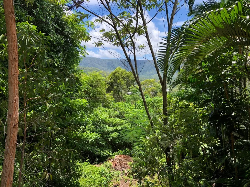 LOT 50/7 Tari Place, Trinity Beach, QLD 4879