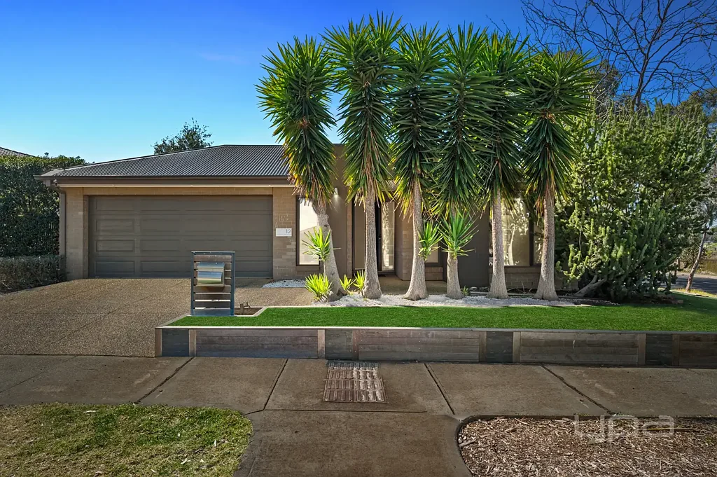 Weir Views 4Moenga Immaculate Family Home in the Heart of Weir Views