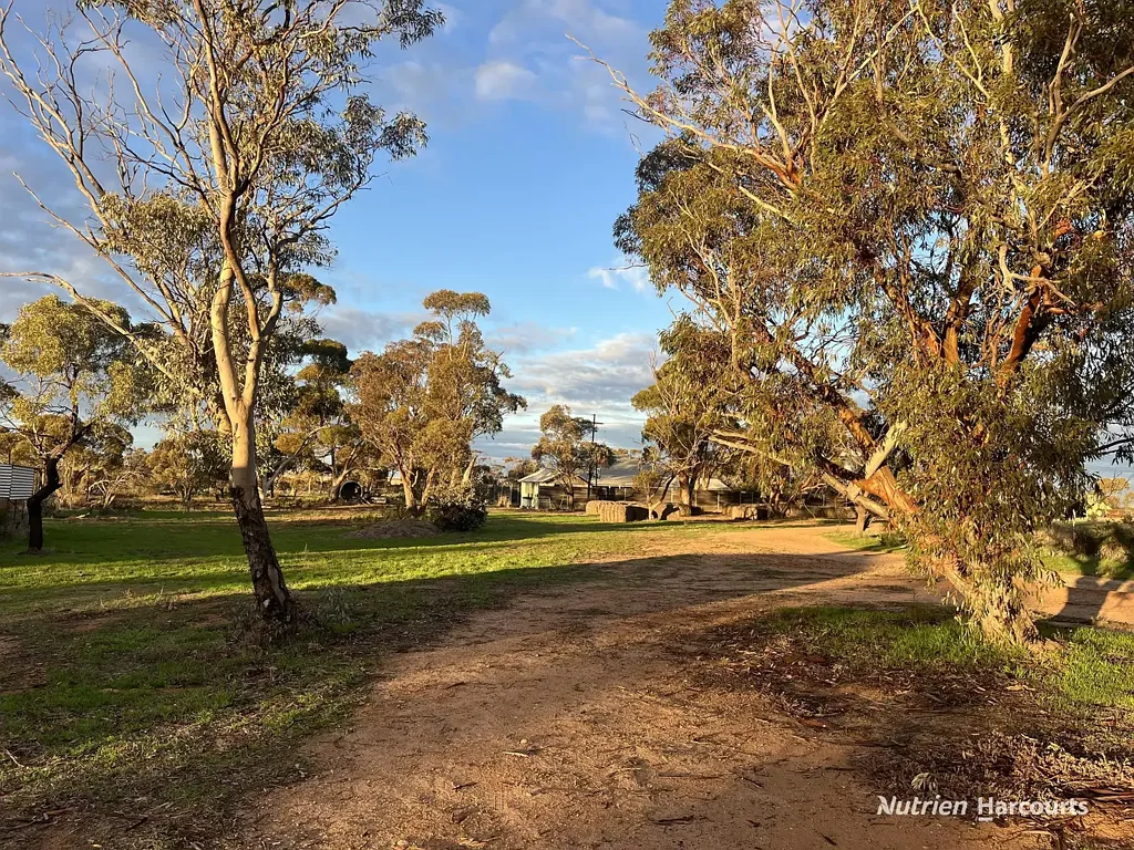 Bencubbin  "Open Plain farmland extremely well improved"