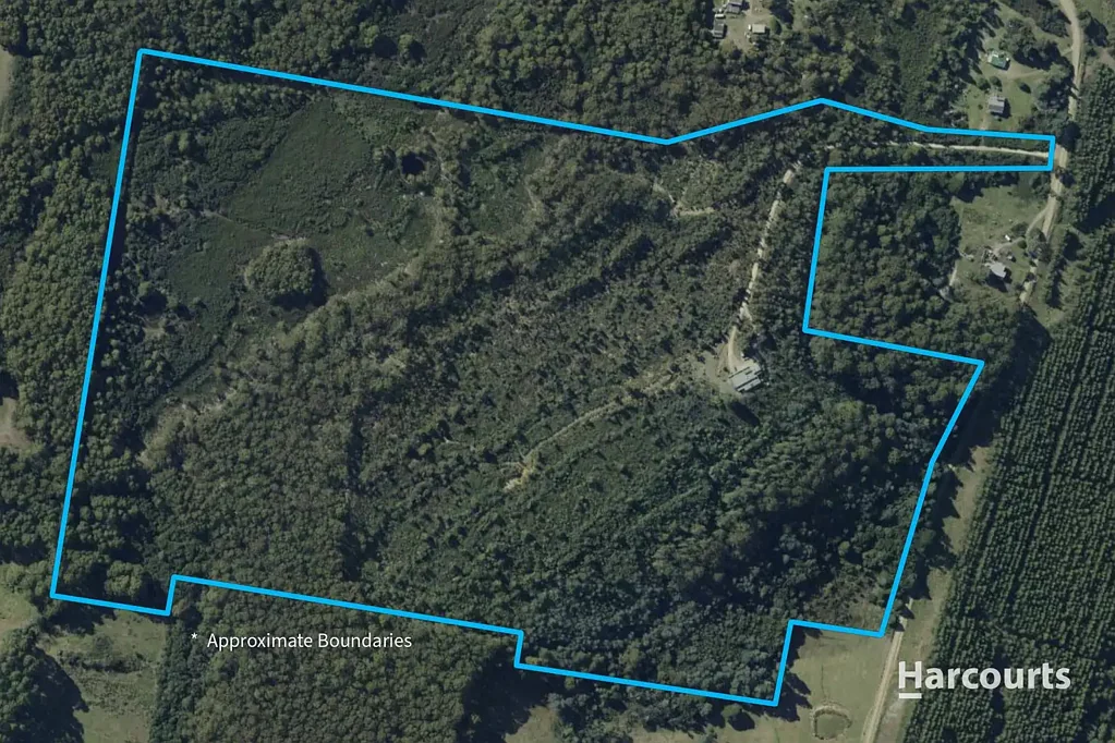 Port Arthur  A Rare Opportunity for Ultimate Privacy, Natural Beauty & Endless Possibilities