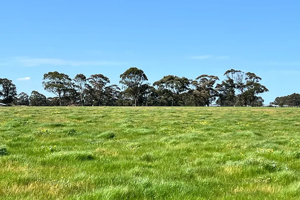 LOT 255 STAGE 2 - Albany Views Private Estate - Albany Views Private Estate, Drome, Albany, WA 6330