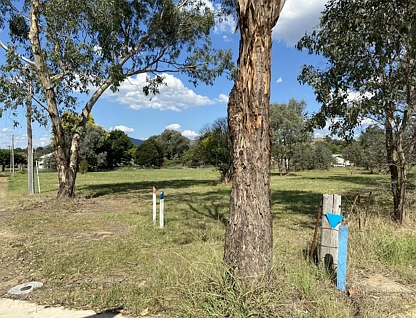 155-161 Strzelecki Way, Corryong, Rest of VIC, 0 Bedrooms, 0 Bathrooms, Section