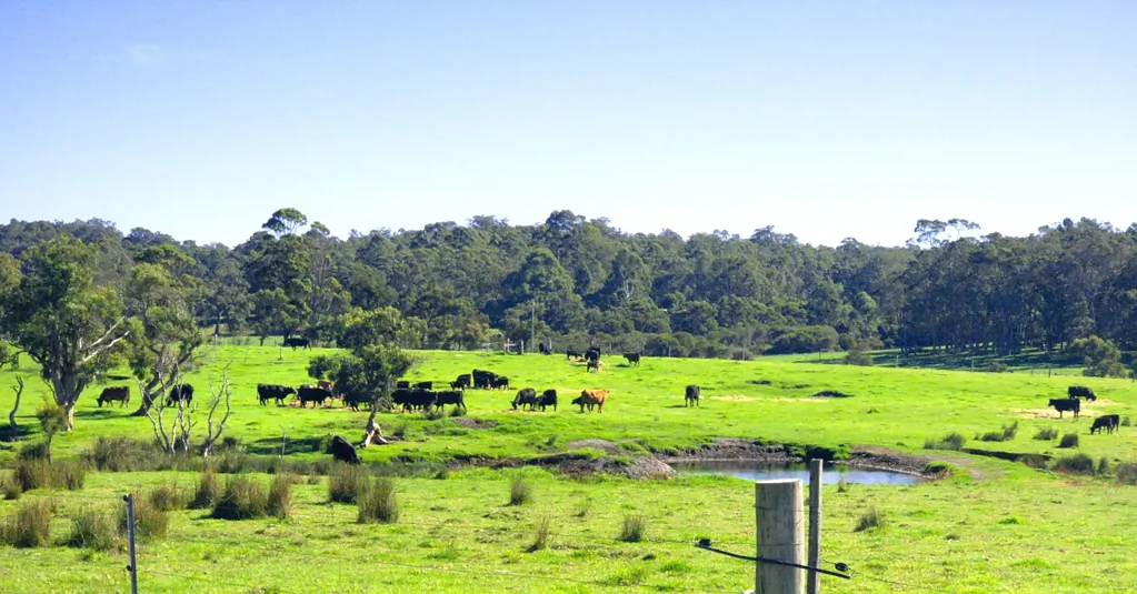 Hazelvale Prime Rural Farming Land with Dual Building Opportunities and Abundant Natural Resources