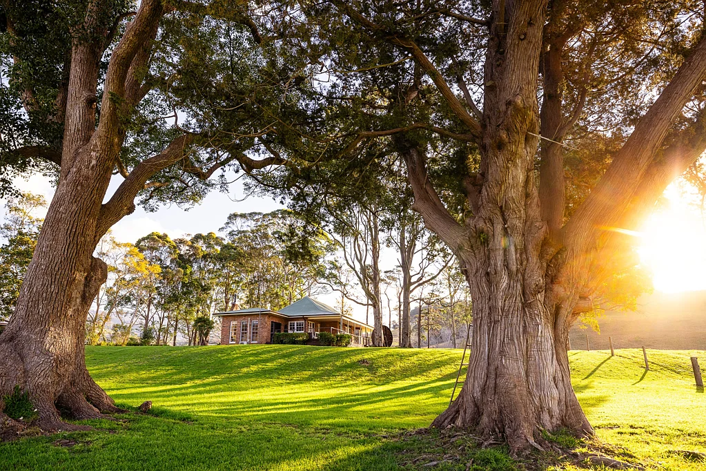 104 Wyalla Road, Jamberoo, NSW 2533