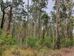 2 BIBARINGA RD, Nymboida