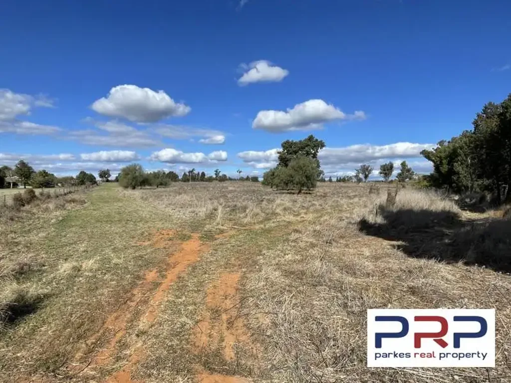 Trewilga  Price Review - 12 Acres
