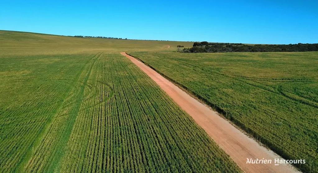 Warradarge 'CENTRAL PARK'