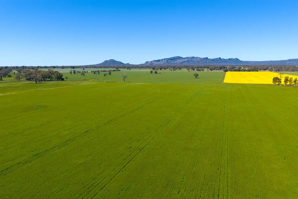 1174 Northern Grampians Road, Laharum, VIC 3401